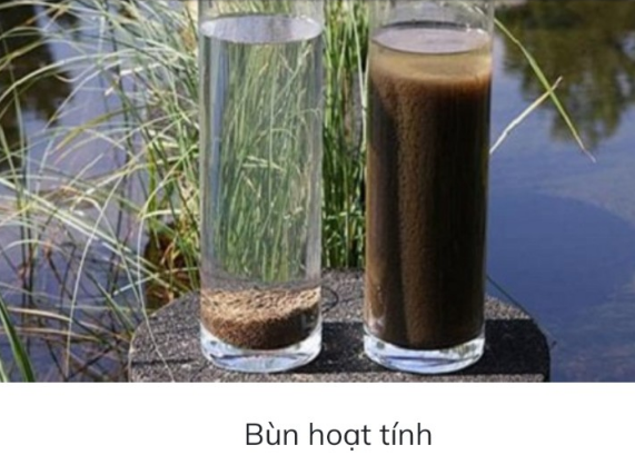 Đơn vị cung cấp bùn vi sinh xử lý nước thải chất lượng